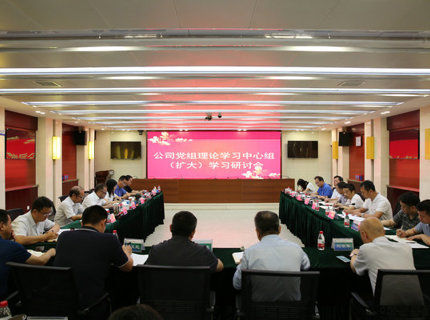 澧水公司黨組理論學習中心組開展主題教育第五次集中學習研討