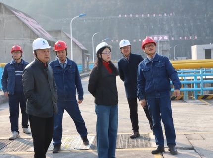 陳印輝帶隊(duì)檢查公司所屬水庫安全生產(chǎn)工作