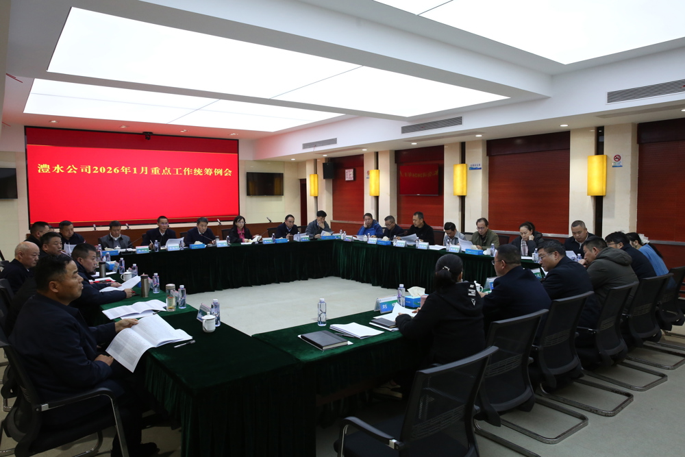 重點工作統(tǒng)籌例會